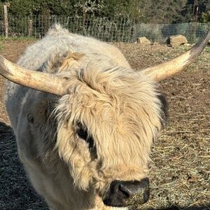 Meet your Posher,